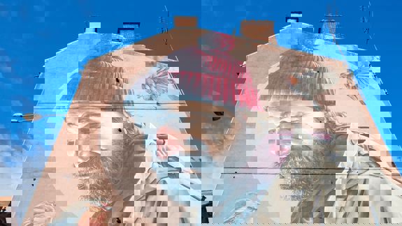 A mural of a man in a red beanie hat and two robins on the side of a building.