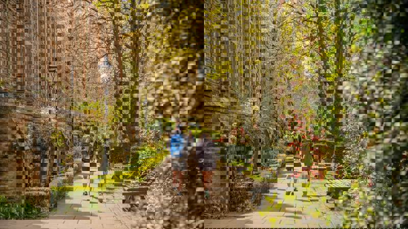 Two people walk down a paved pathway lined with benches, lush green trees, and a traditional stone building on a sunny day.