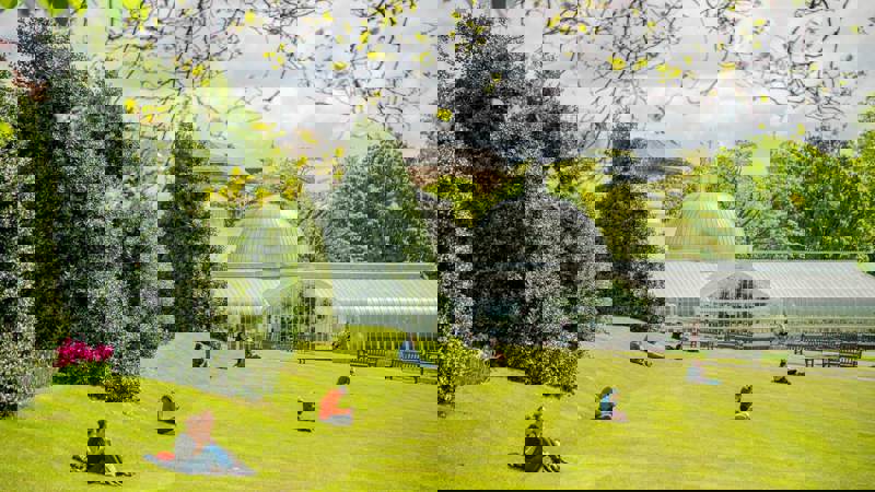 People are relaxing on a sunny, grassy hill in front of the glass Kibble Palace conservatory at the Glasgow Botanic Gardens.