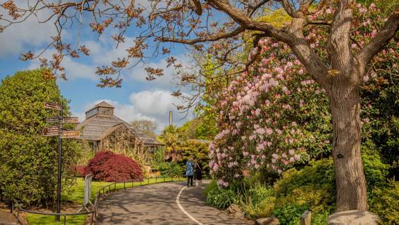 A view of a beautiful park with a curved path, lush trees and a greenhouse in the background.